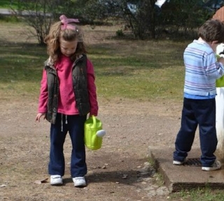 Activities in the field. 